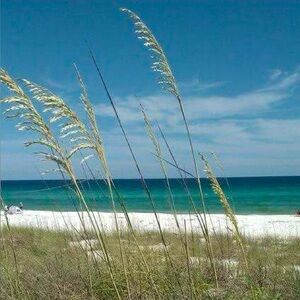 Meet your Posher, Gail